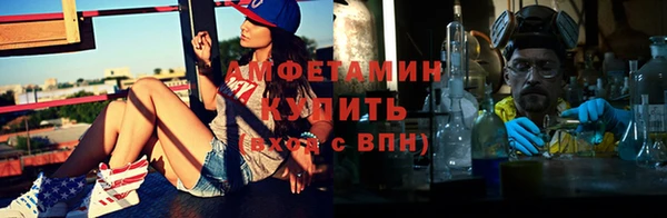 шишки Гусь-Хрустальный