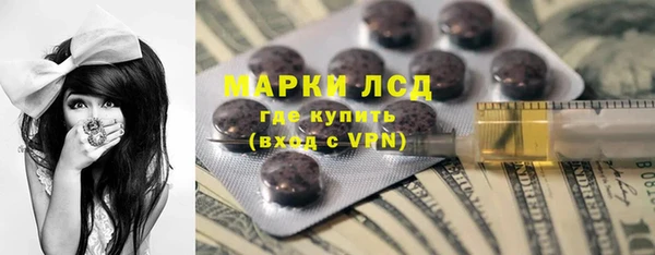 шишки Гусь-Хрустальный