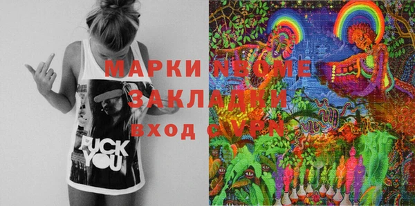 шишки Гусь-Хрустальный