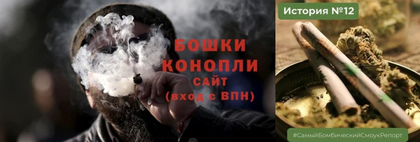 шишки Гусь-Хрустальный