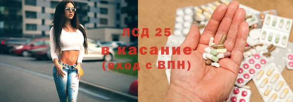 СК Гусев