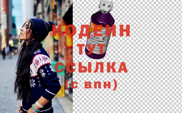 шишки Гусь-Хрустальный