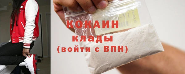 шишки Гусь-Хрустальный