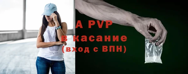 СК Гусев