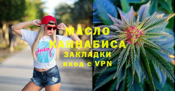 шишки Гусь-Хрустальный