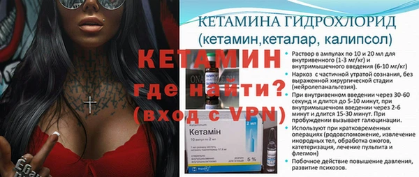 шишки Гусь-Хрустальный