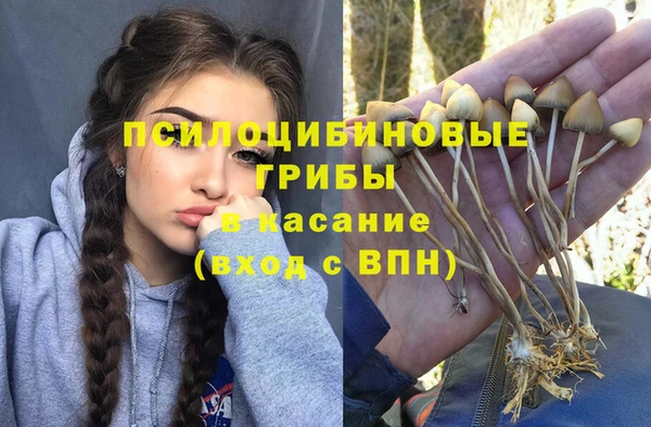тгк Гусиноозёрск