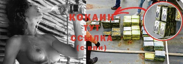 шишки Гусь-Хрустальный