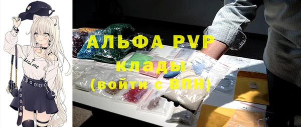 СК Гусев