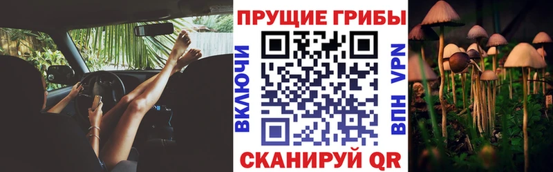 Галлюциногенные грибы Psilocybine cubensis  Купить закладки  Электросталь 