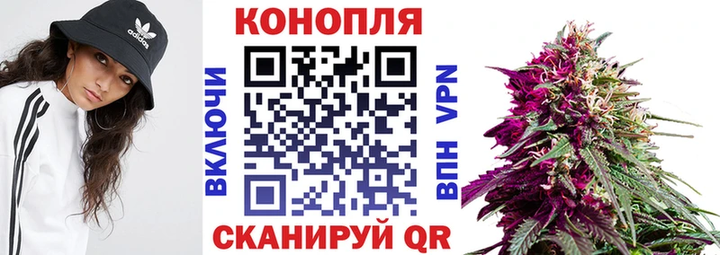 Марихуана VHQ  Купить где  Электросталь 
